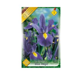 Iris blue magic 10ks