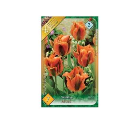 Tulipán artist 7ks