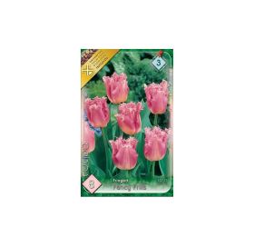 Tulipán fancy frills 8ks