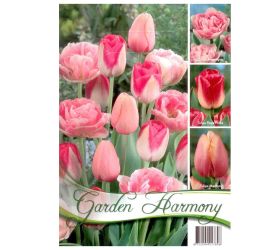 Kolekcia pink tulips 15ks