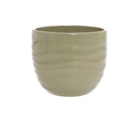 69642 obal rush grass 969/24