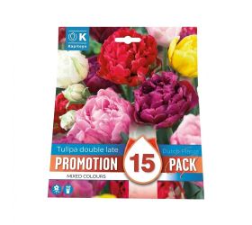 Tulipán double mix colours 15ks