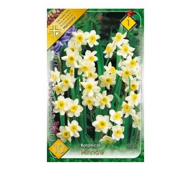Narcis minnow 10ks
