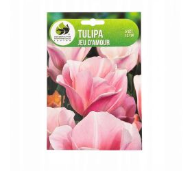 Tulipán jeu d´amour 5ks