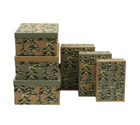 Box s/6 „zimný les“
