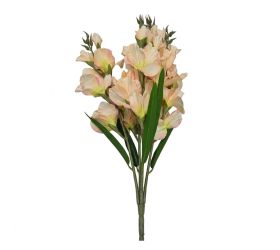 Kytica gladiola x5 bl.marhuľová 75cm