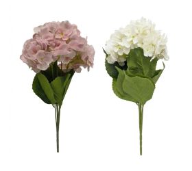Kytica hydrangea mix/2f