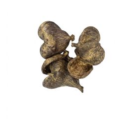 Badam nature 23x20x8cm 5pc