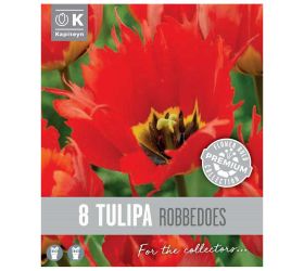 Tulipán prem.robbedoes 8ks