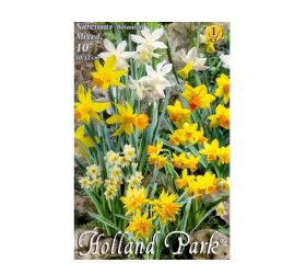 Narcis botanical mix 10ks